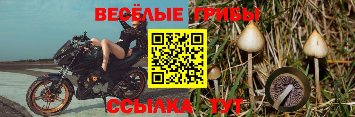 Псилоцибиновые грибы GOLDEN TEACHER Усть-Кут